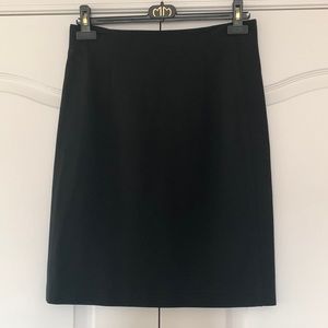 EUC Theory skirt